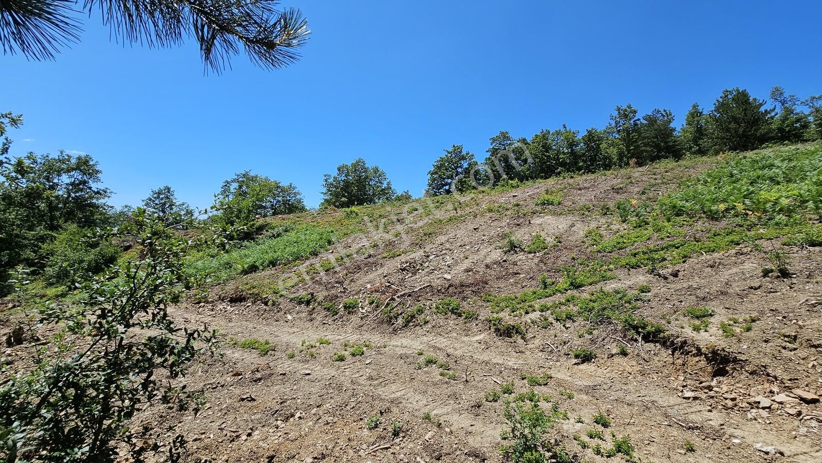 İznik Hacıosman'da Fırsat/ 4.973m² Yol Ve Orman Cepheli Tarla - Görsel 28