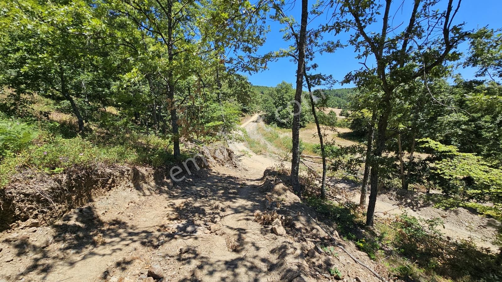 İznik Hacıosman'da Fırsat/ 4.973m² Yol Ve Orman Cepheli Tarla - Görsel 23