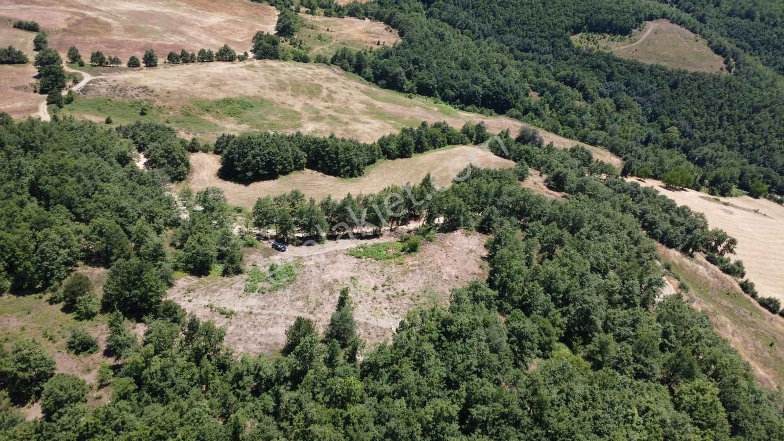 İznik Hacıosman'da Fırsat/ 4.973m² Yol Ve Orman Cepheli Tarla - Görsel 17