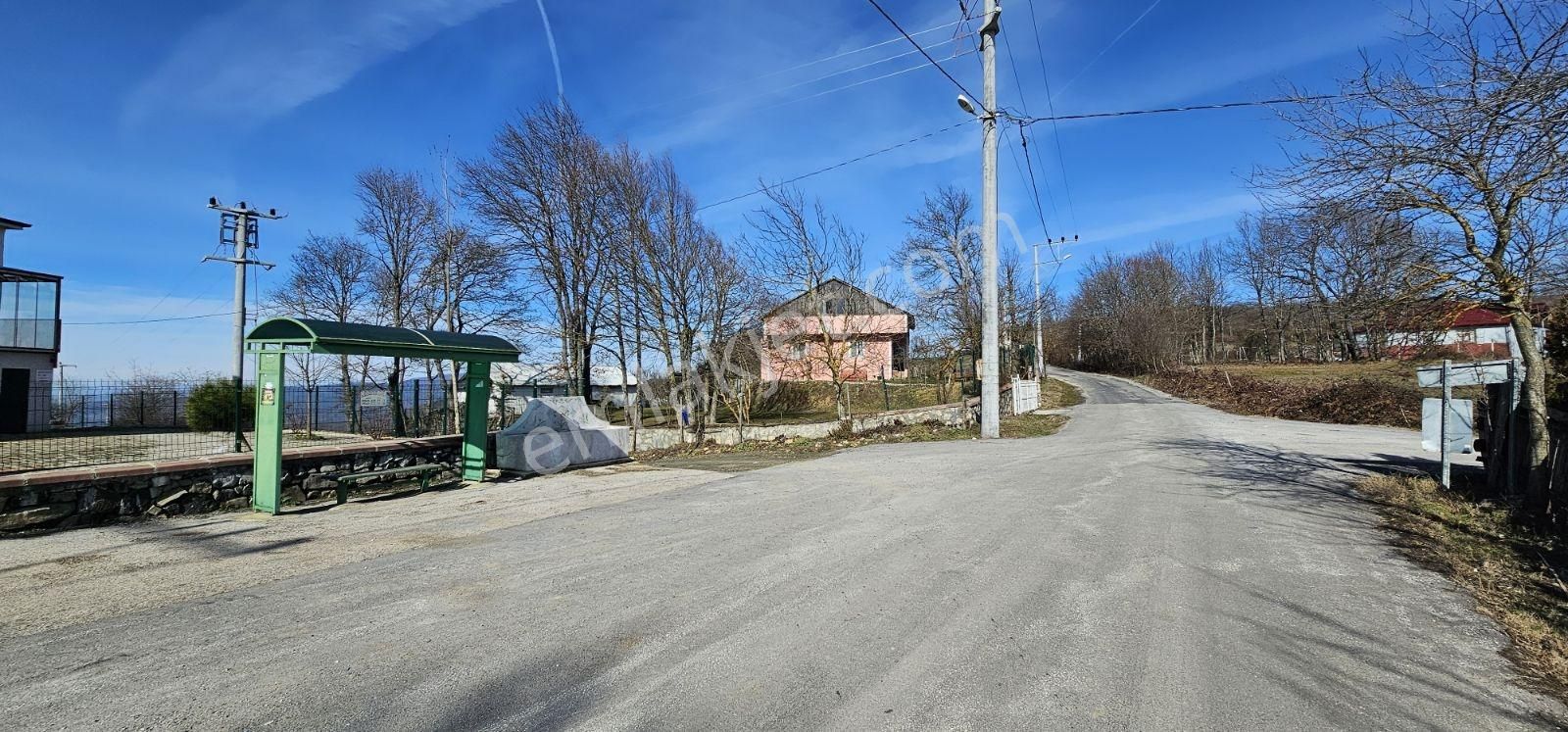 İznik Hacıosman'da Fırsat/ 4.973m² Yol Ve Orman Cepheli Tarla - Görsel 3