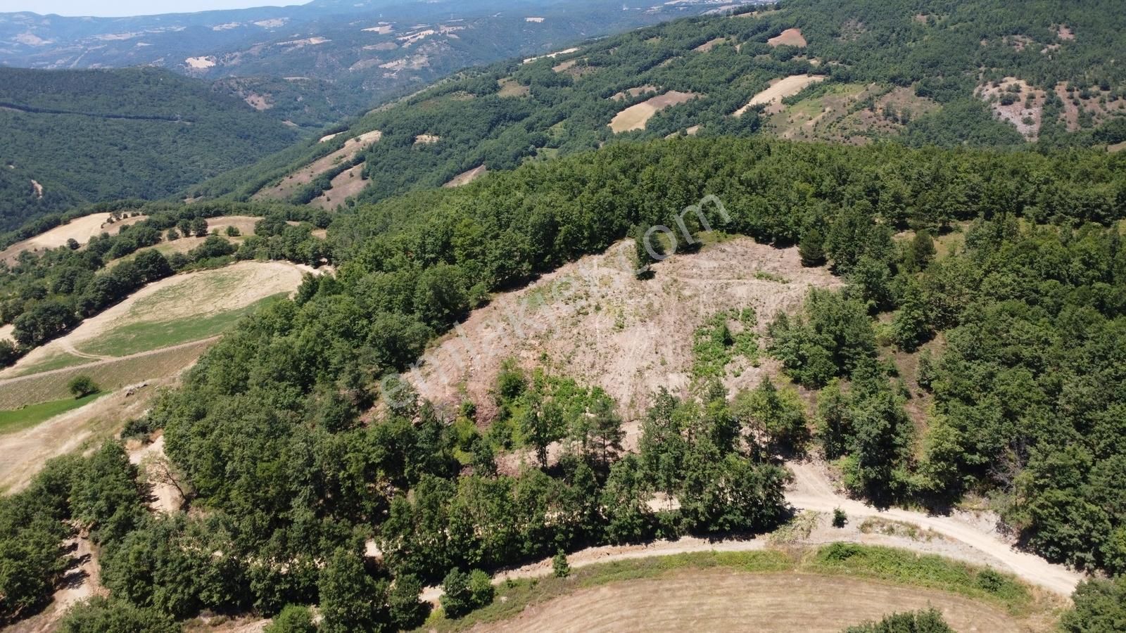 İznik Hacıosman'da Fırsat/ 4.973m² Yol Ve Orman Cepheli Tarla - Görsel 14