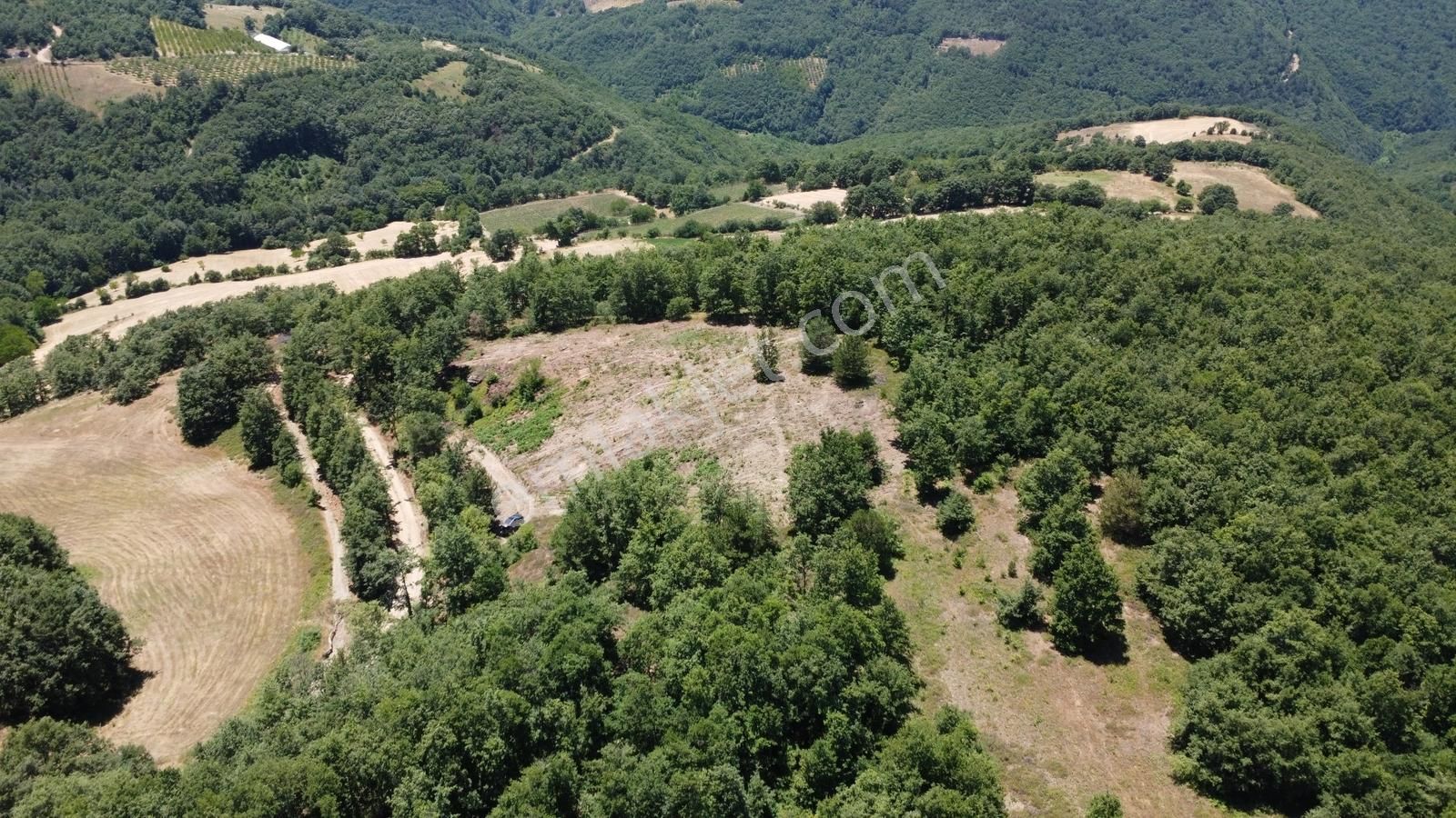 İznik Hacıosman'da Fırsat/ 4.973m² Yol Ve Orman Cepheli Tarla - Görsel 8