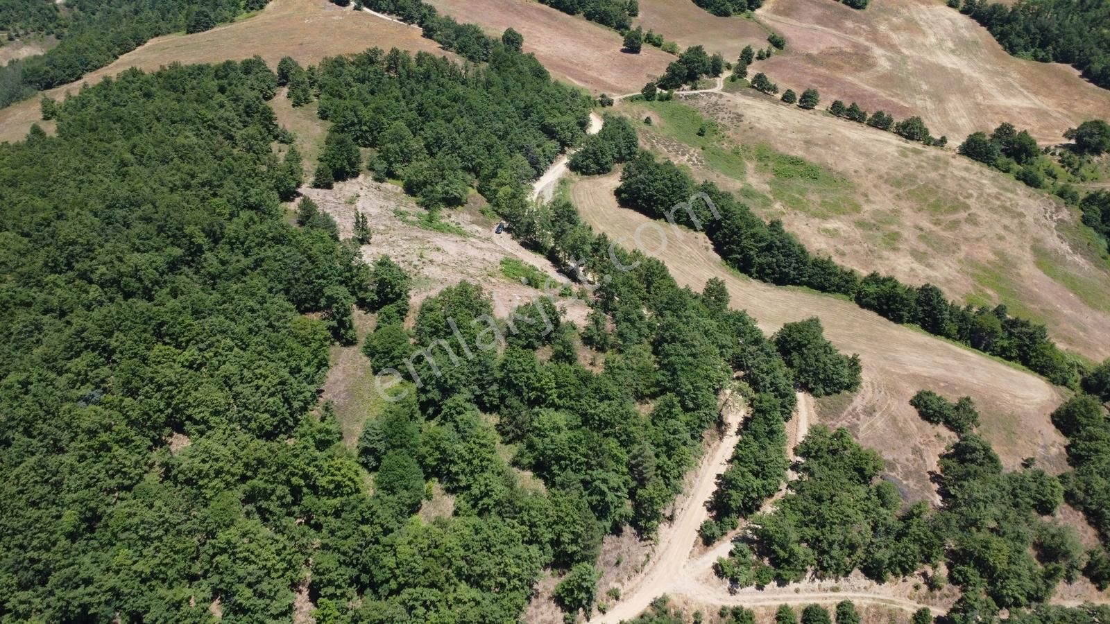 İznik Hacıosman'da Fırsat/ 4.973m² Yol Ve Orman Cepheli Tarla - Görsel 24
