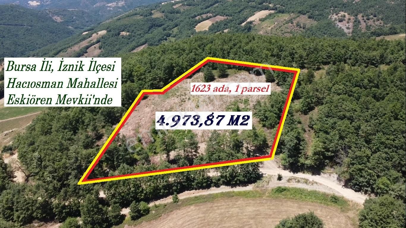 İznik Hacıosman'da Fırsat/ 4.973m² Yol Ve Orman Cepheli Tarla - Görsel 22