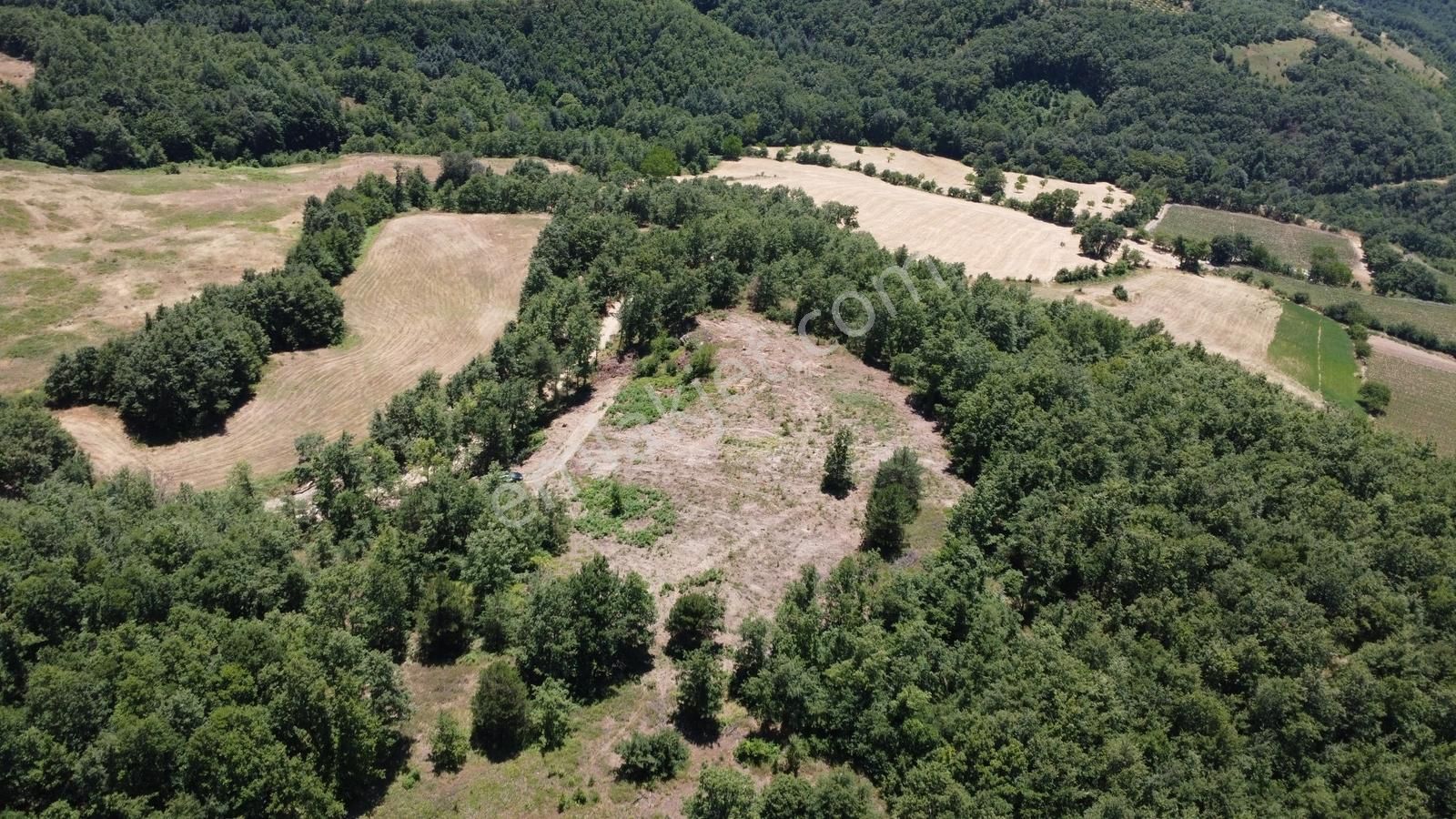İznik Hacıosman'da Fırsat/ 4.973m² Yol Ve Orman Cepheli Tarla - Görsel 31
