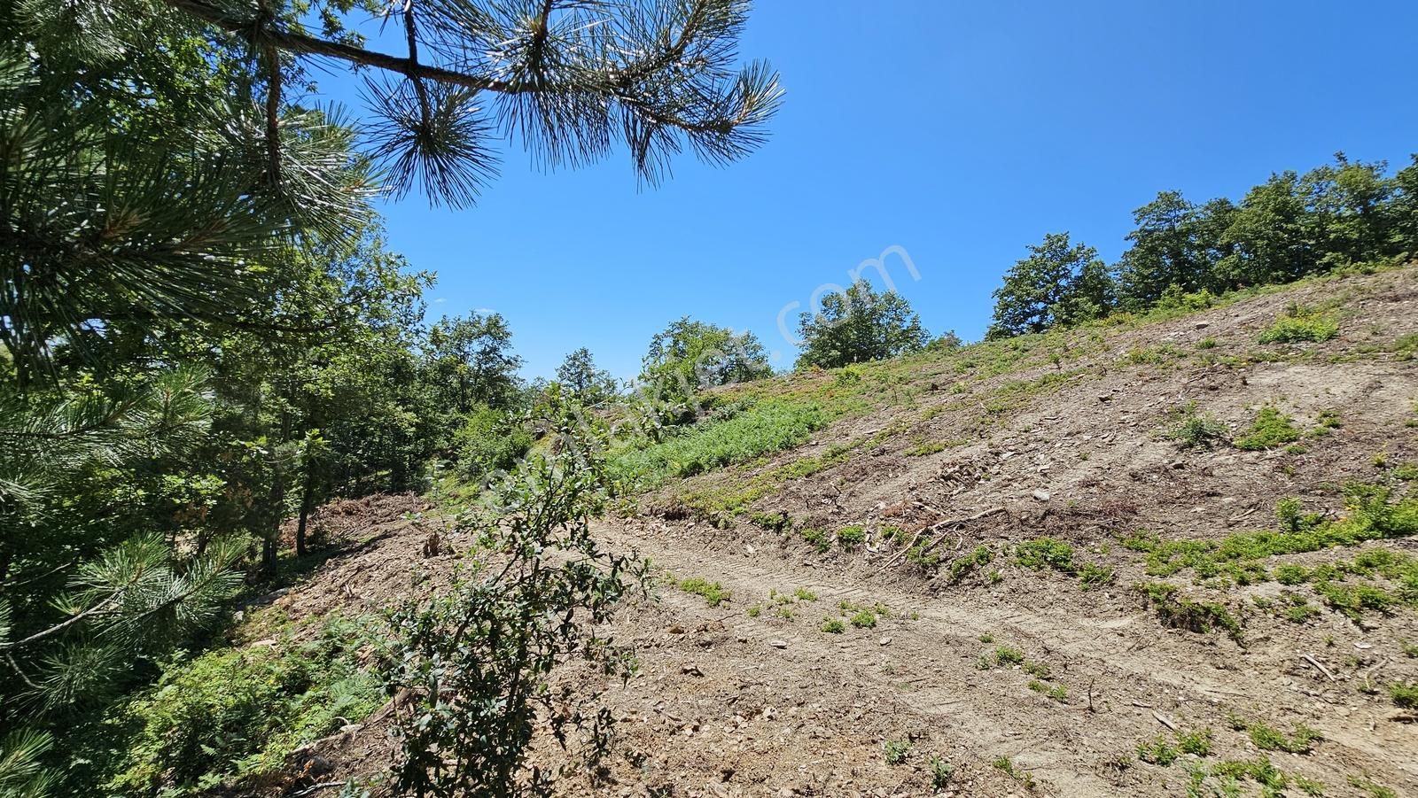 İznik Hacıosman'da Fırsat/ 4.973m² Yol Ve Orman Cepheli Tarla - Görsel 21