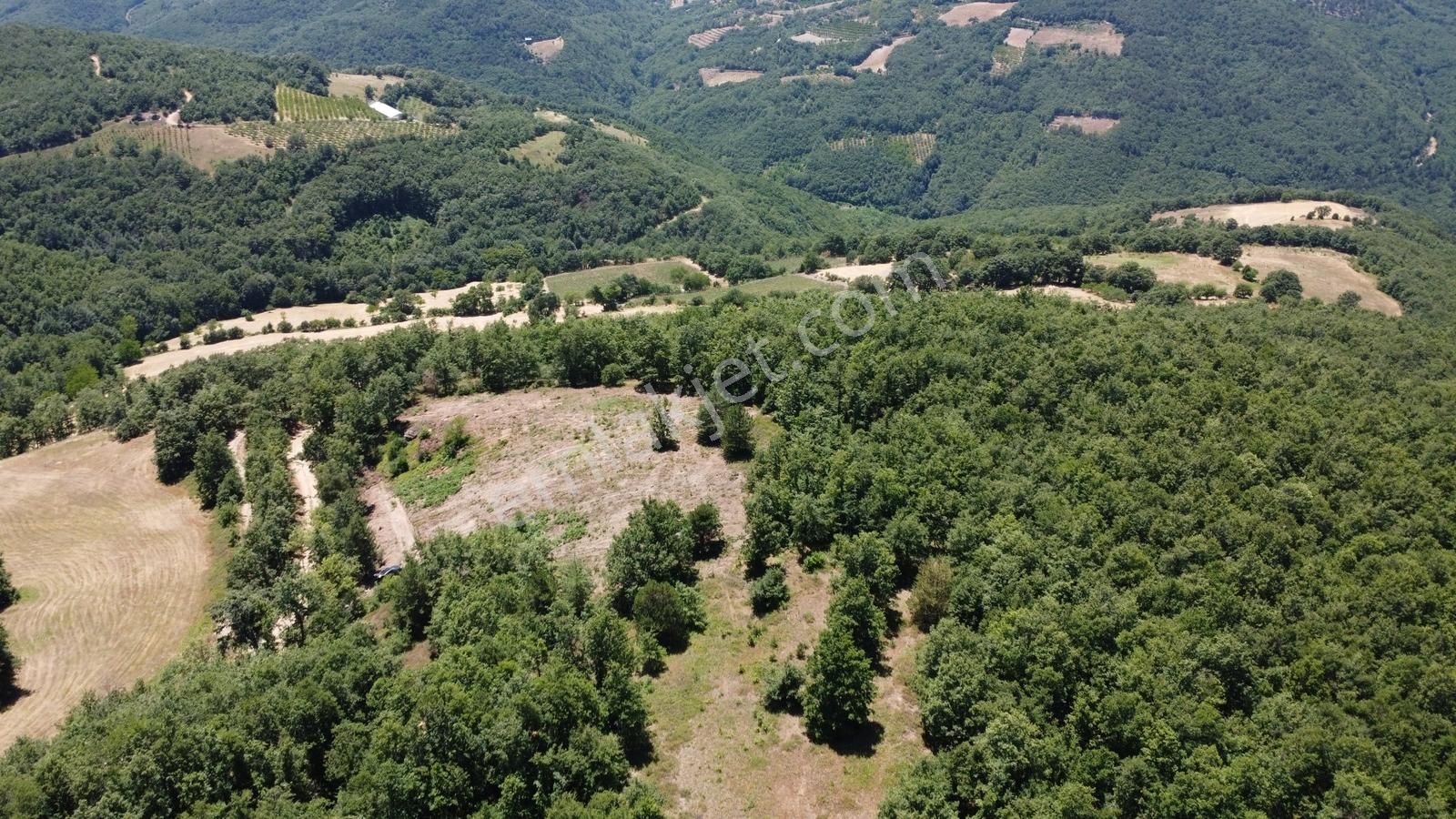 İznik Hacıosman'da Fırsat/ 4.973m² Yol Ve Orman Cepheli Tarla - Görsel 29