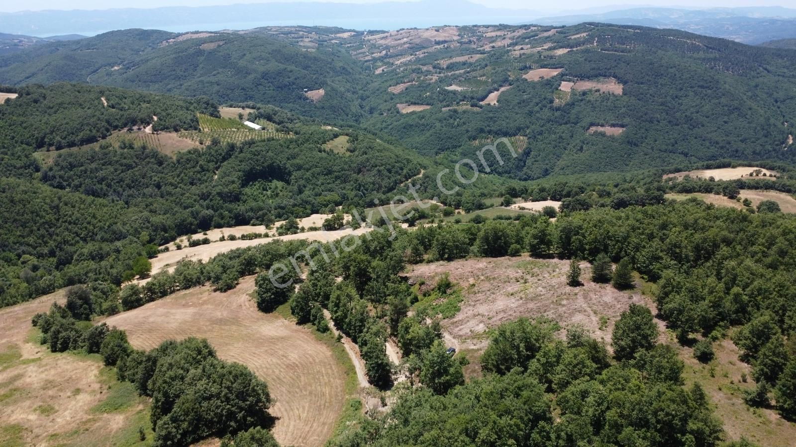 İznik Hacıosman'da Fırsat/ 4.973m² Yol Ve Orman Cepheli Tarla - Görsel 15