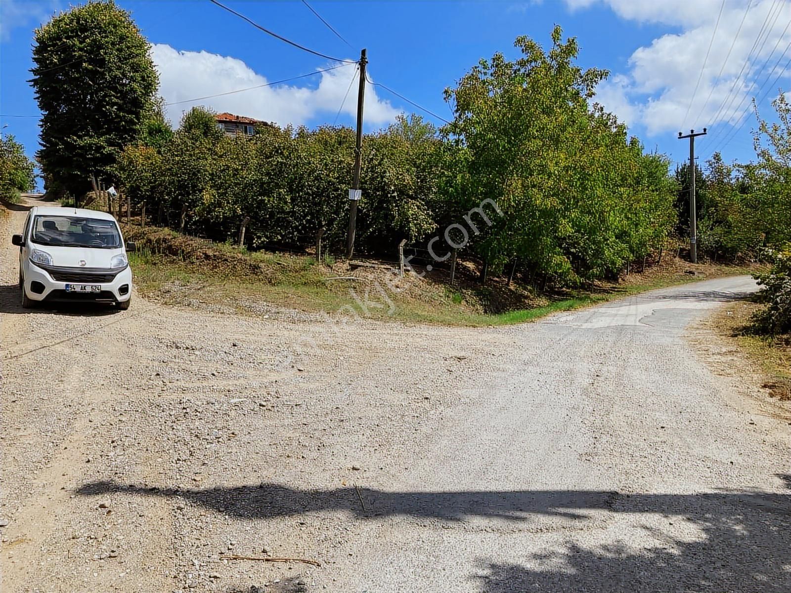 Sakarya Karasuda 7.216 M2 Kaçırılmayacak Satılık Fındık Bahçesi! - Görsel 2