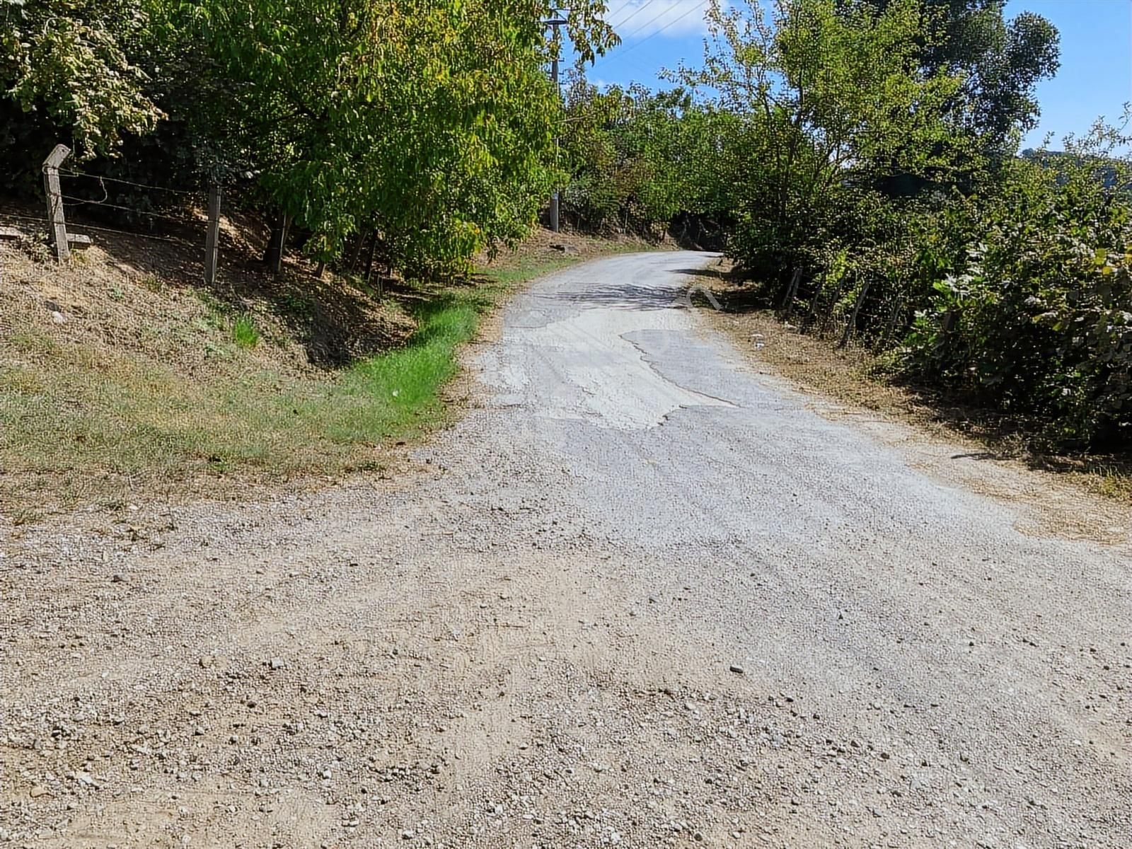 Sakarya Karasuda 7.216 M2 Kaçırılmayacak Satılık Fındık Bahçesi! - Görsel 34