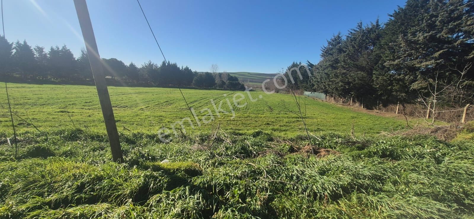 Çatalca Çakıl'da İyi Konumda, Yol Kenarı, Yatırımlık 8.600 M² Satılık Arazi - Görsel 8