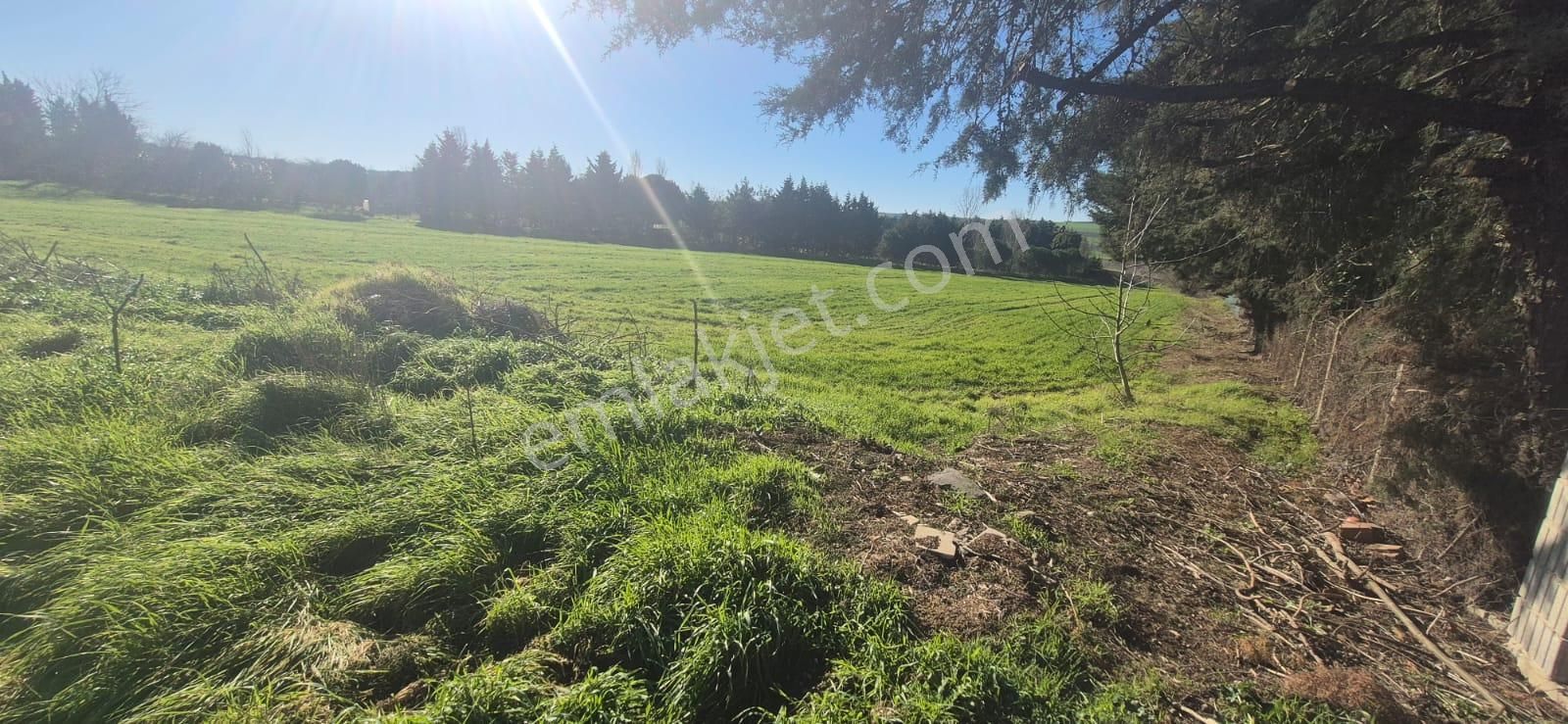 Çatalca Çakıl'da İyi Konumda, Yol Kenarı, Yatırımlık 8.600 M² Satılık Arazi - Görsel 7