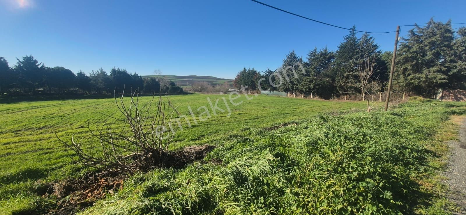 Çatalca Çakıl'da İyi Konumda, Yol Kenarı, Yatırımlık 8.600 M² Satılık Arazi - Görsel 9