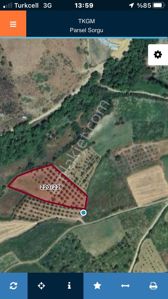 Şarköyde Işık Emlakta Güzelköy Mah De 5800 M2 Zeytinlik - Görsel 23