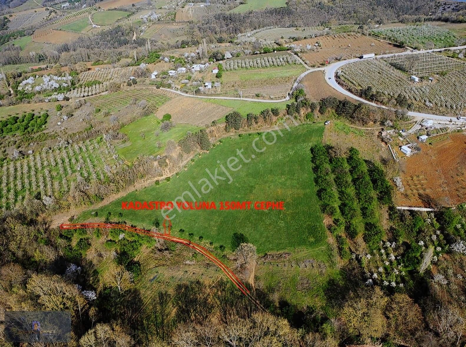 Royal Office | Kestel Aksuda İnegöl Yolu Üzeri 17.865m2 Bahçe - Görsel 3