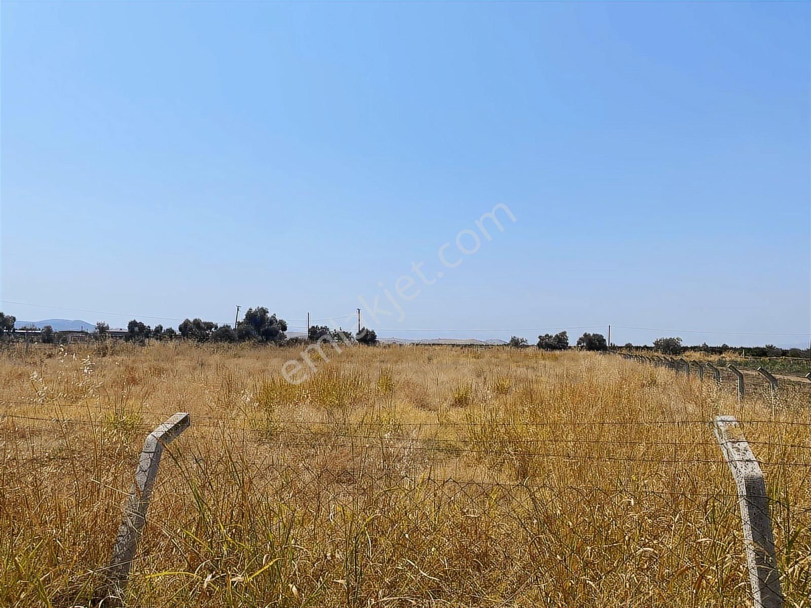 Akar Emlaktan Satılık Tarla Yola Sıfır - Görsel 16