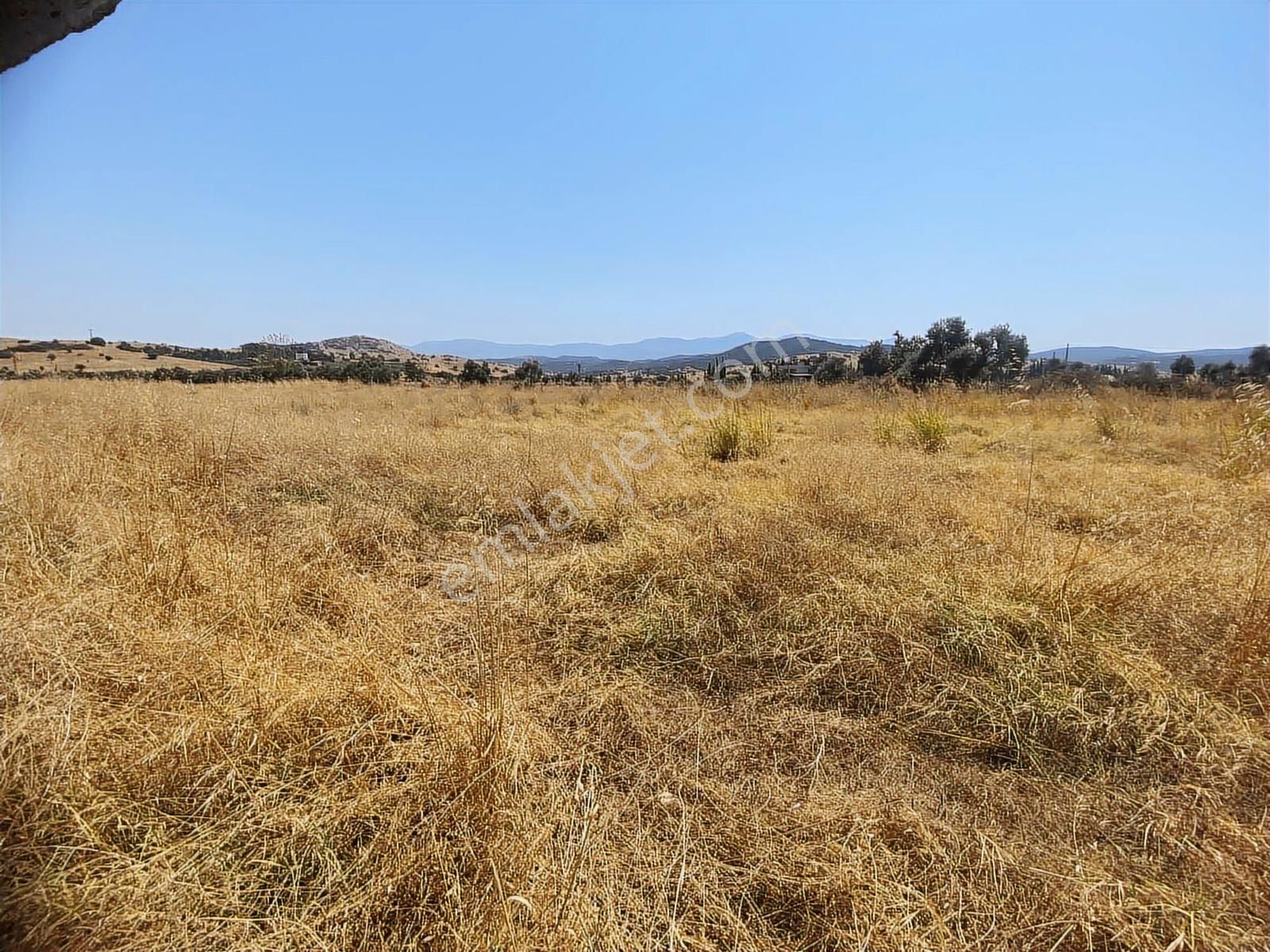 Akar Emlaktan Satılık Tarla Yola Sıfır - Görsel 4