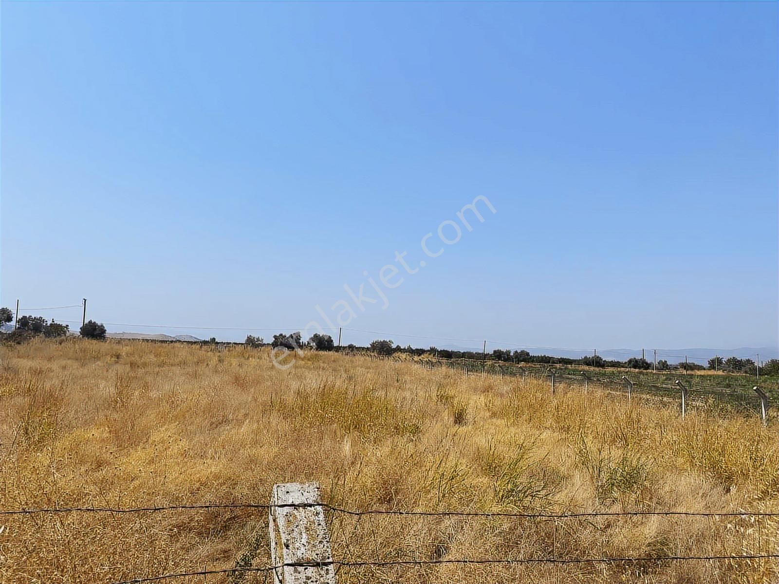 Akar Emlaktan Satılık Tarla Yola Sıfır - Görsel 7