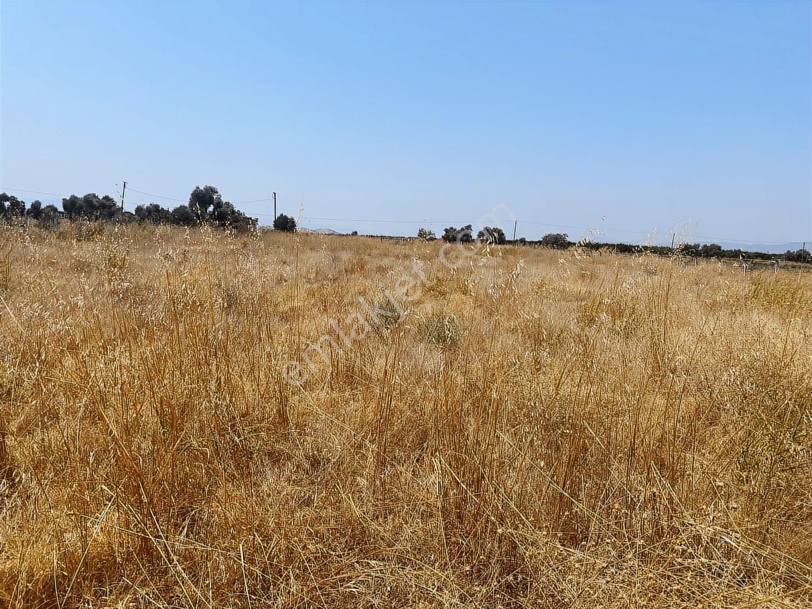 Akar Emlaktan Satılık Tarla Yola Sıfır - Görsel 23