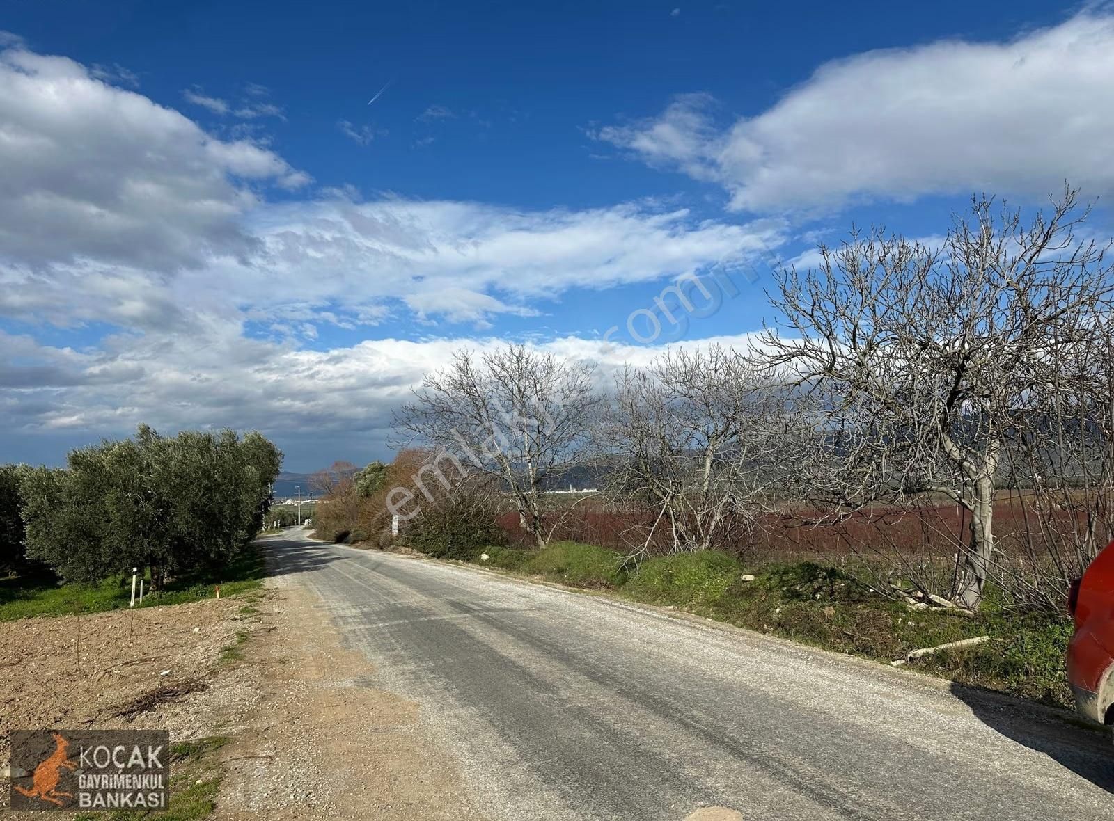 Çamdibi Köyü Yoluna Cepheli 12000 M2 Üzüm Bağı Ve Zeytin Bahçesi - Görsel 3