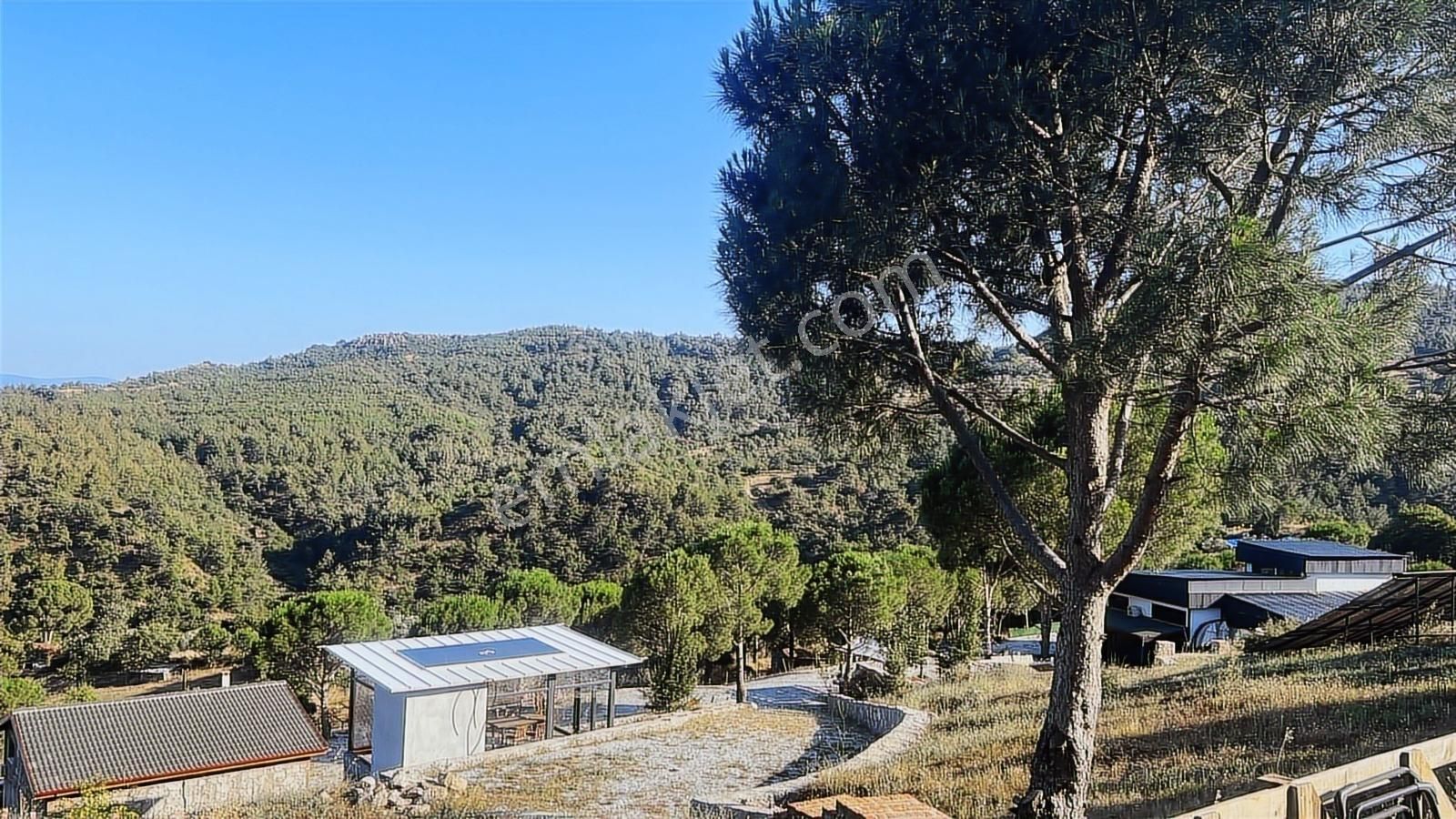 İzmir Bergama'da Doğanın İçinde Malikane - Görsel 27