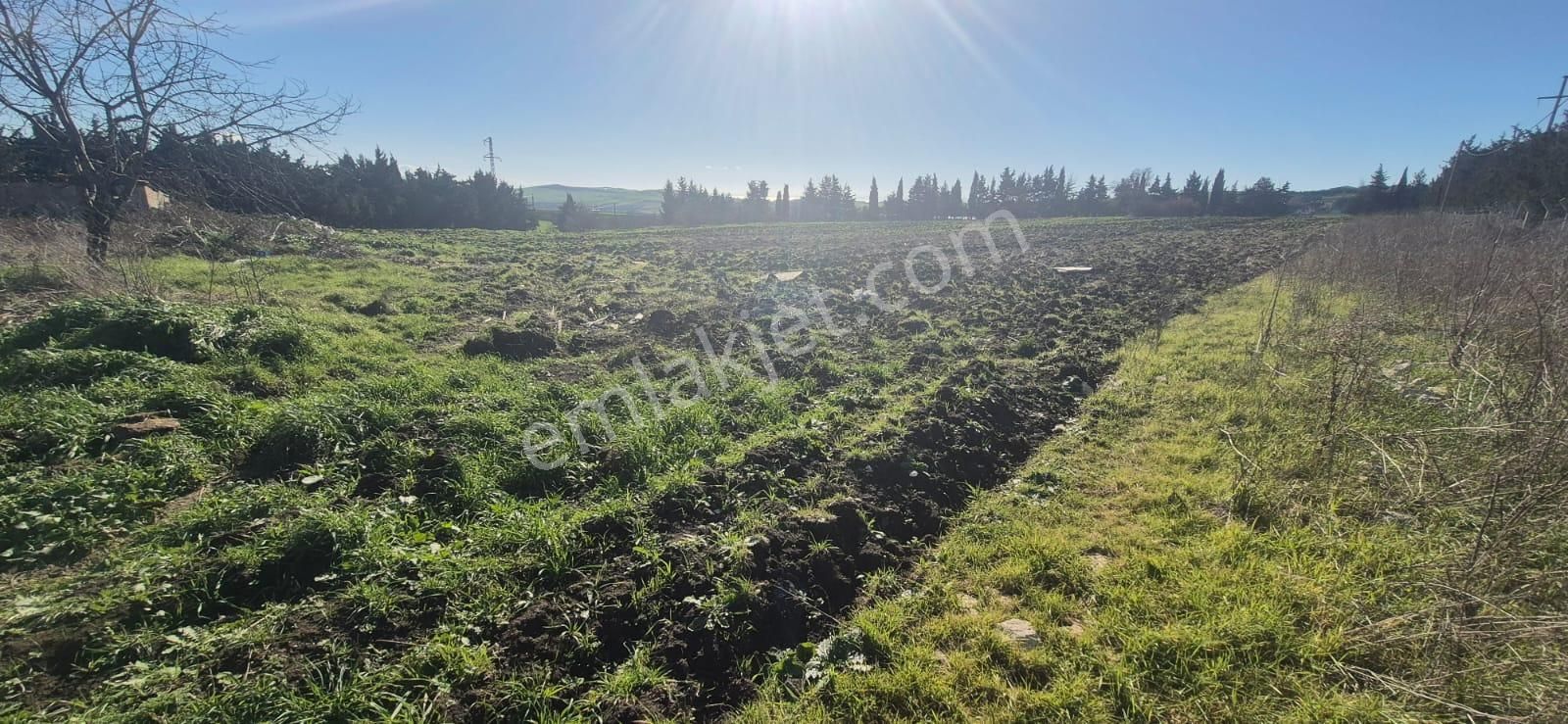 Çatalca Çakıl'da Çok İyi Konumda Dörtlü Yol Kavşağında 18.676m² Satılık Arazi - Görsel 6