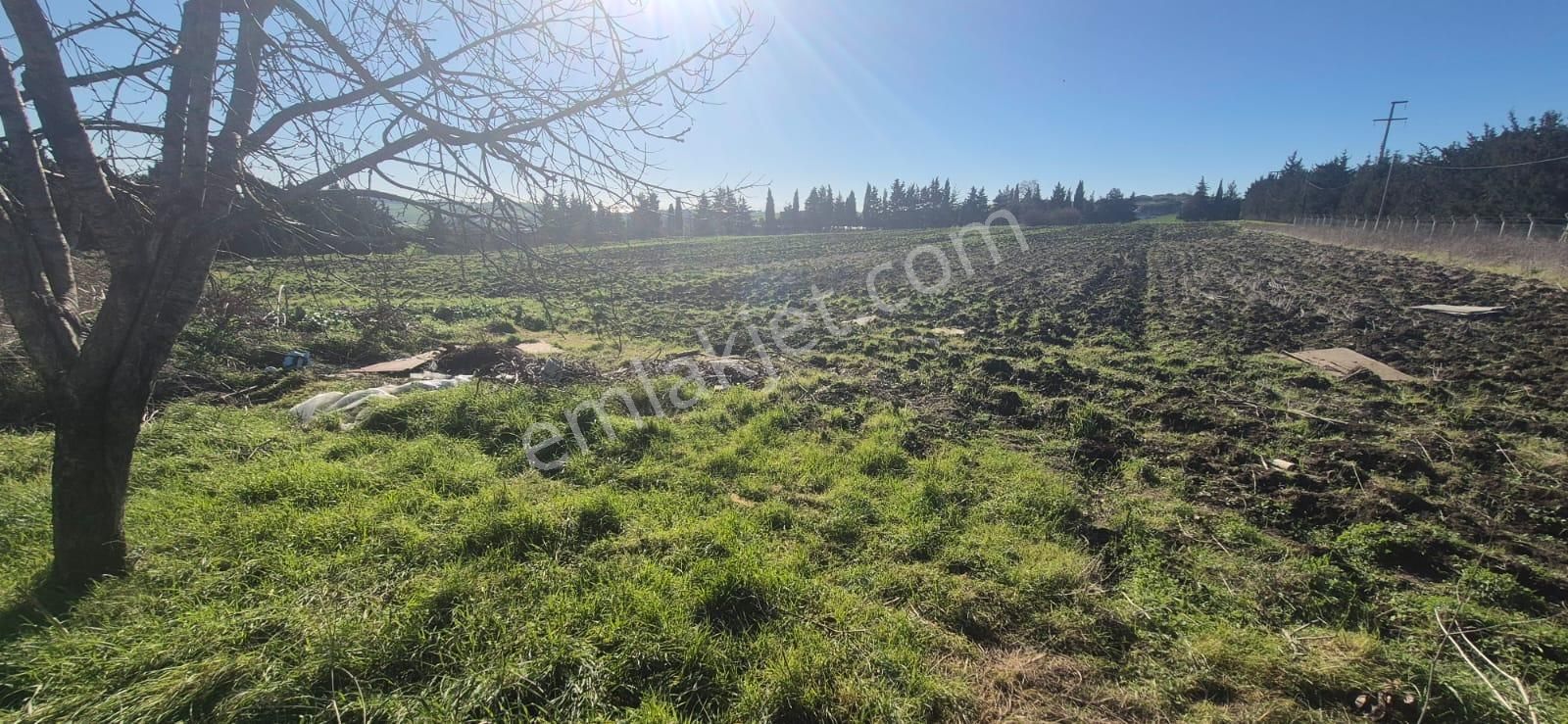 Çatalca Çakıl'da Çok İyi Konumda Dörtlü Yol Kavşağında 18.676m² Satılık Arazi - Görsel 8