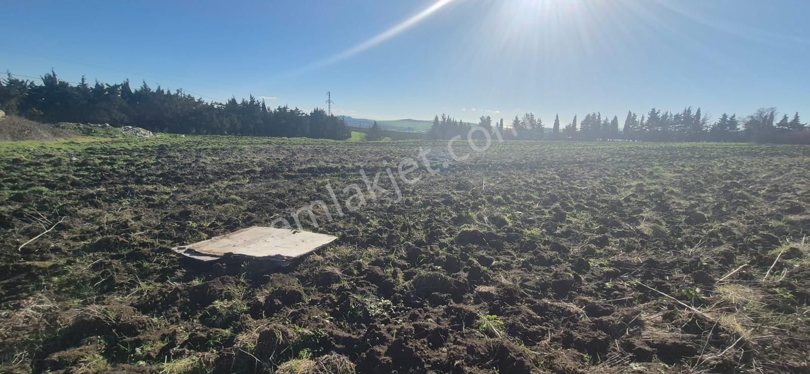 Çatalca Çakıl'da Çok İyi Konumda Dörtlü Yol Kavşağında 18.676m² Satılık Arazi - Görsel 11