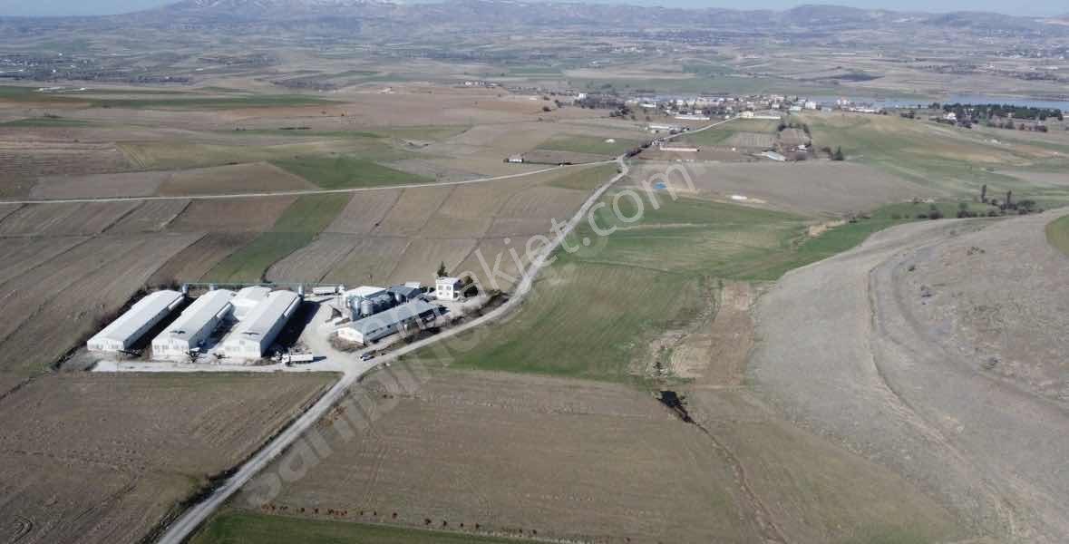 Emre Gm/den Harmantepe Sarıçubuk Yolunda Fırsat Yatırımlık Arazi - Görsel 9