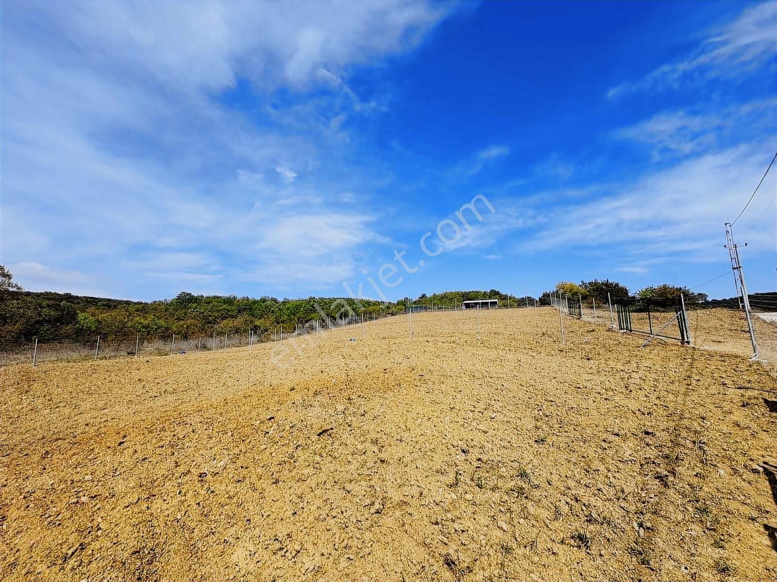 Tırpan Gayrimenkul'den Kaymakoba'da Asfalta Cephe Son 1 Parsel - Görsel 5