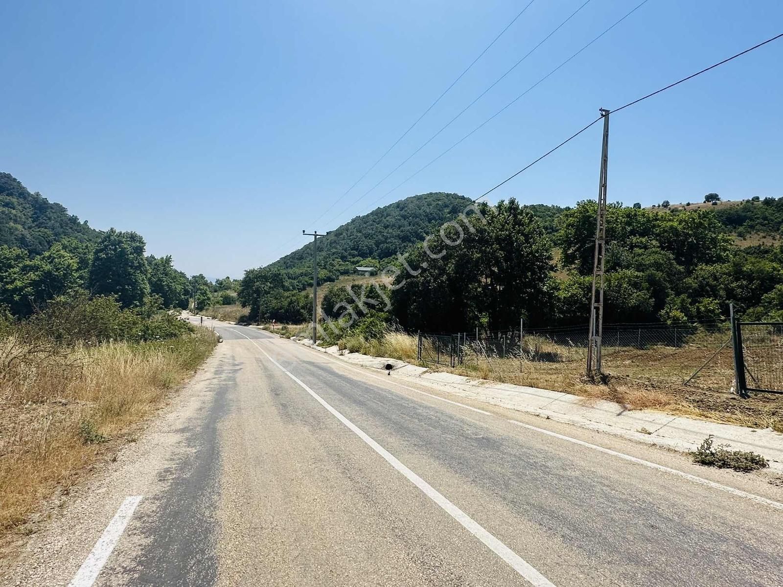 Tırpan Gayrimenkul'den Kaymakoba'da Asfalta Cephe Son 1 Parsel - Görsel 6