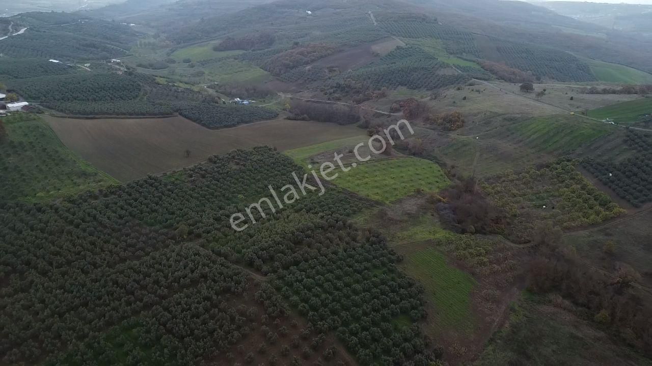Tırpan Gayrimenkulden Köy Merkezine 200mt 10 Dönüm Arazi - Görsel 17