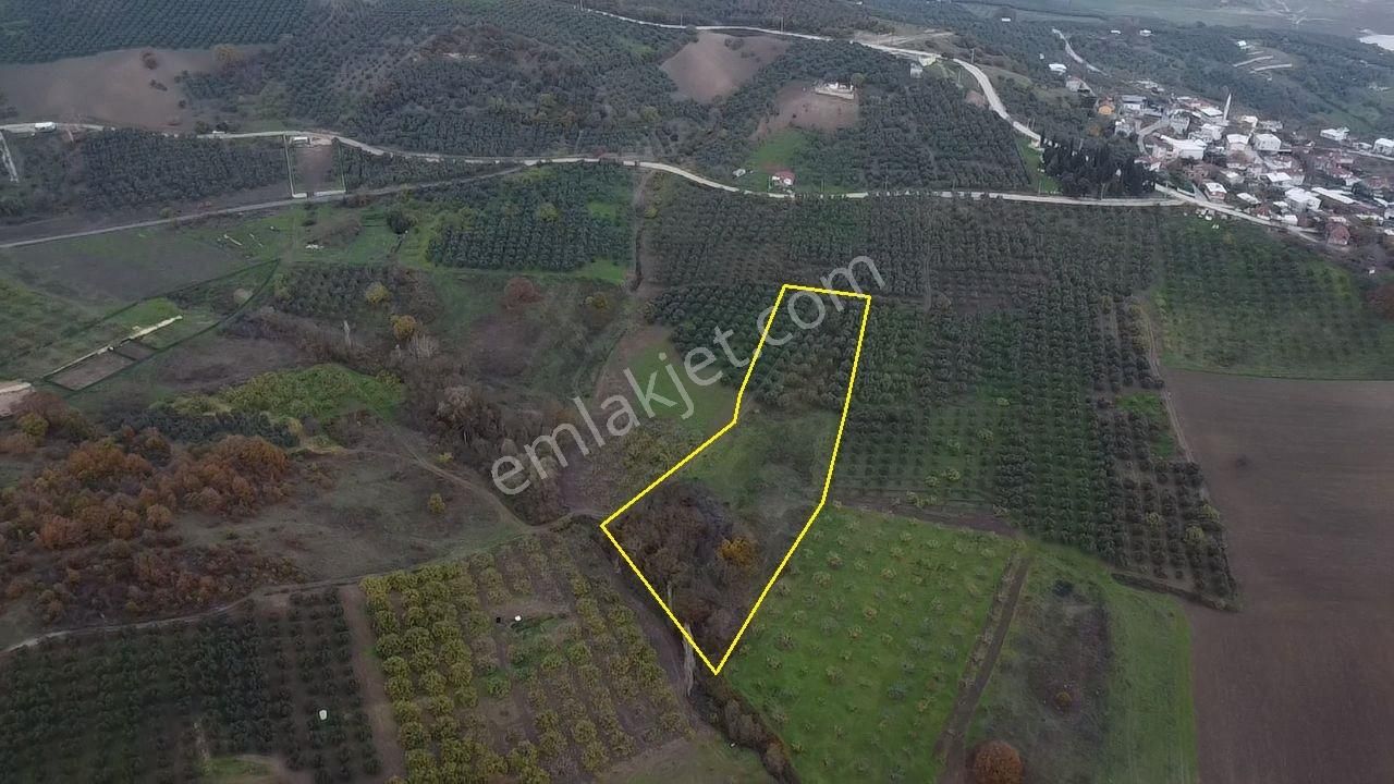 Tırpan Gayrimenkulden Köy Merkezine 200mt 10 Dönüm Arazi - Görsel 19