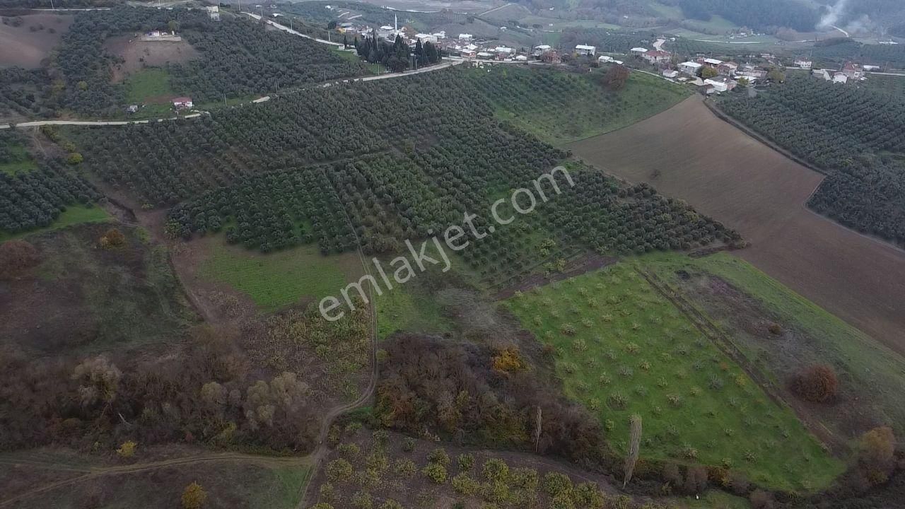 Tırpan Gayrimenkulden Köy Merkezine 200mt 10 Dönüm Arazi - Görsel 22