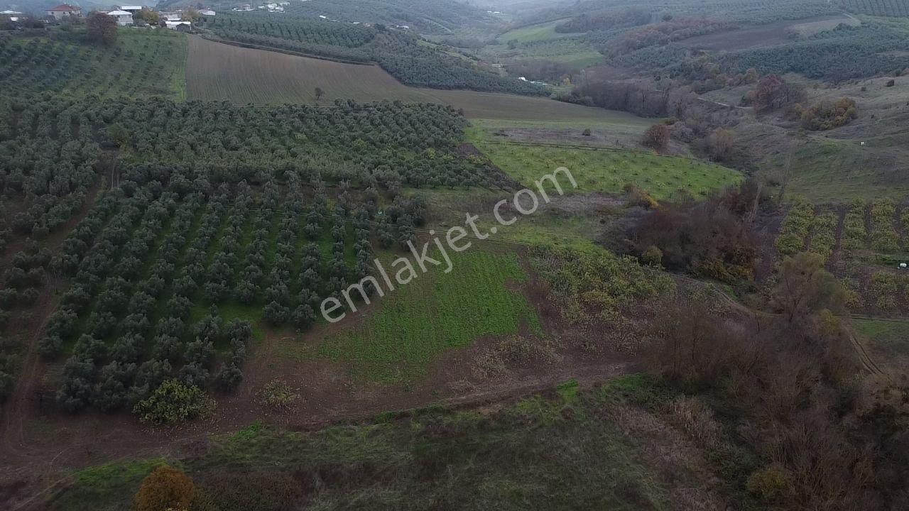 Tırpan Gayrimenkulden Köy Merkezine 200mt 10 Dönüm Arazi - Görsel 29