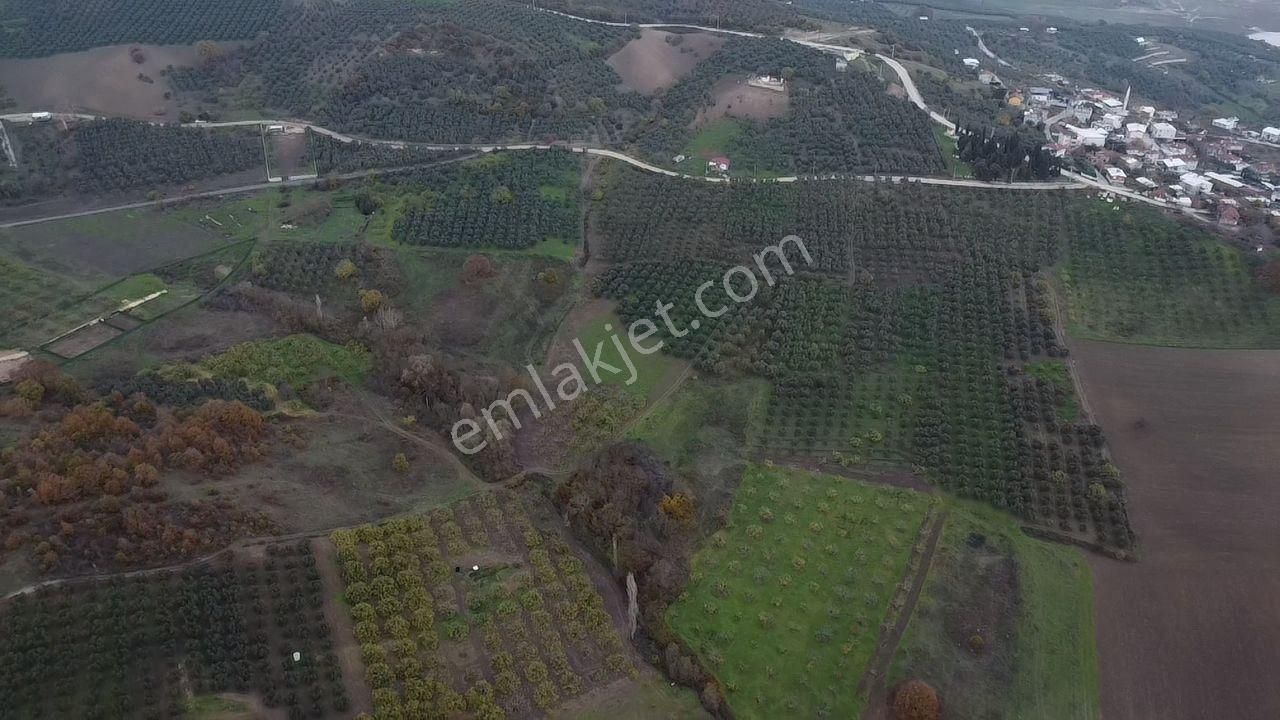 Tırpan Gayrimenkulden Köy Merkezine 200mt 10 Dönüm Arazi - Görsel 23