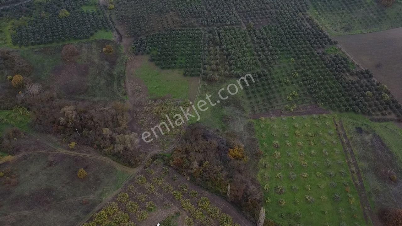 Tırpan Gayrimenkulden Köy Merkezine 200mt 10 Dönüm Arazi - Görsel 4