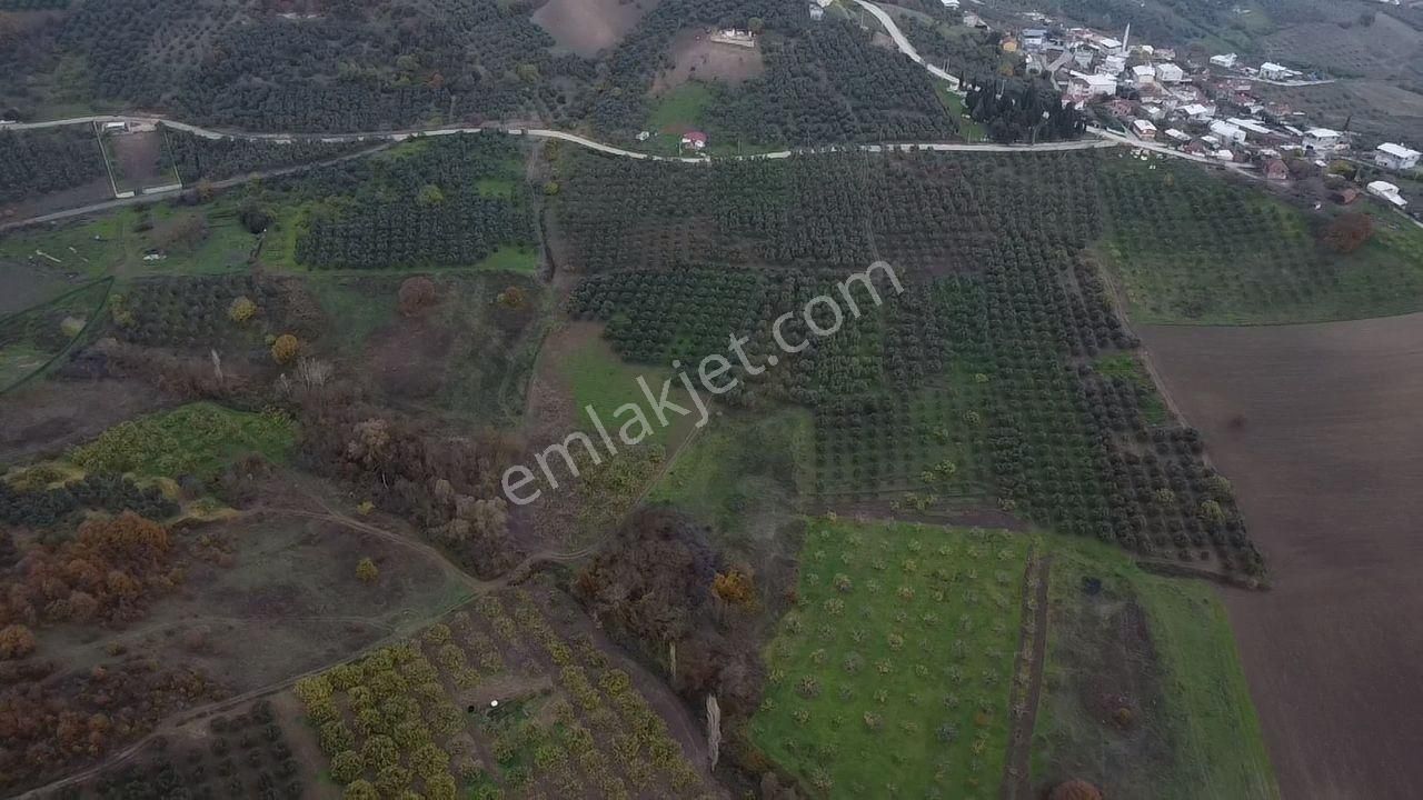 Tırpan Gayrimenkulden Köy Merkezine 200mt 10 Dönüm Arazi - Görsel 15