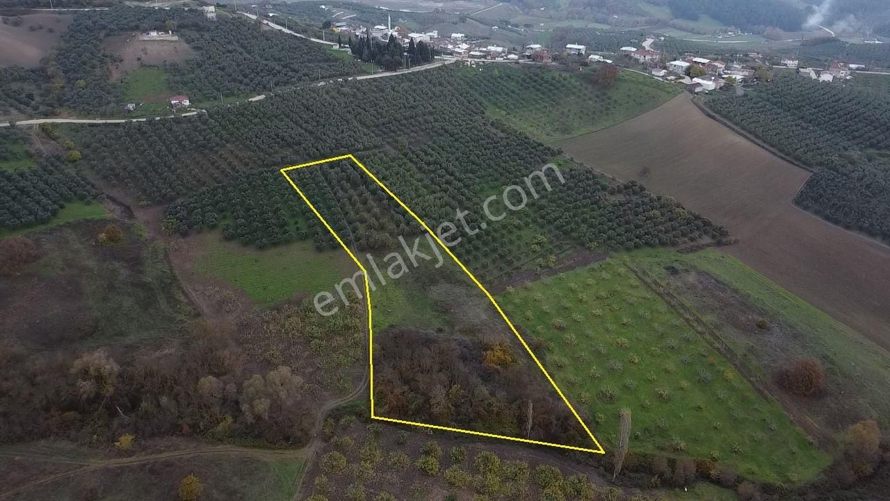 Tırpan Gayrimenkulden Köy Merkezine 200mt 10 Dönüm Arazi