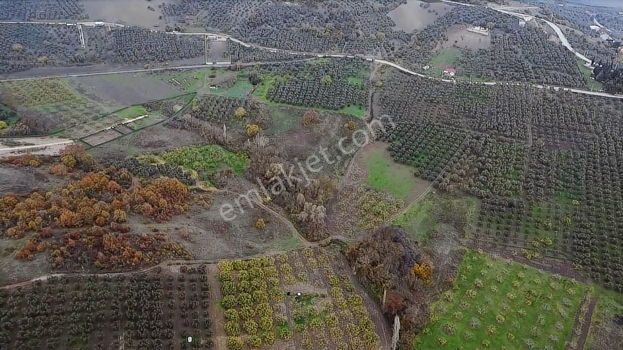 Tırpan Gayrimenkulden Köy Merkezine 200mt 10 Dönüm Arazi - Görsel 27
