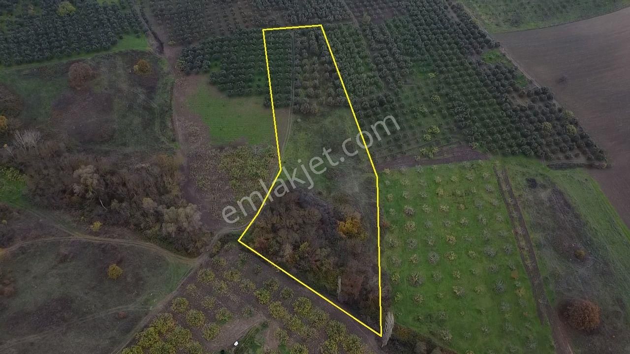 Tırpan Gayrimenkulden Köy Merkezine 200mt 10 Dönüm Arazi - Görsel 2