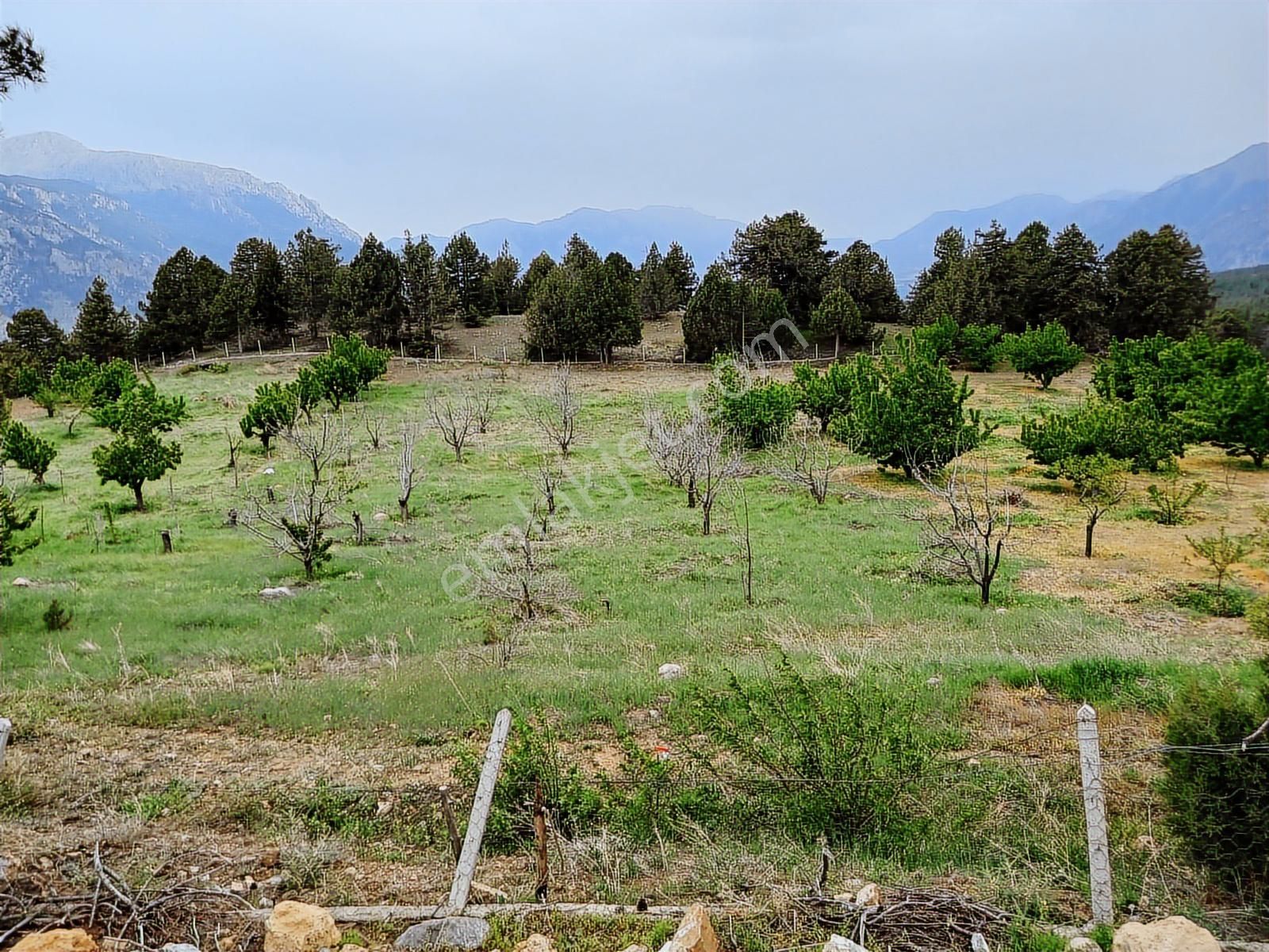 Pozantı Fındıklı'da 2.043 Metre İmar Sınırında-arsadan Değerli.. - Görsel 8