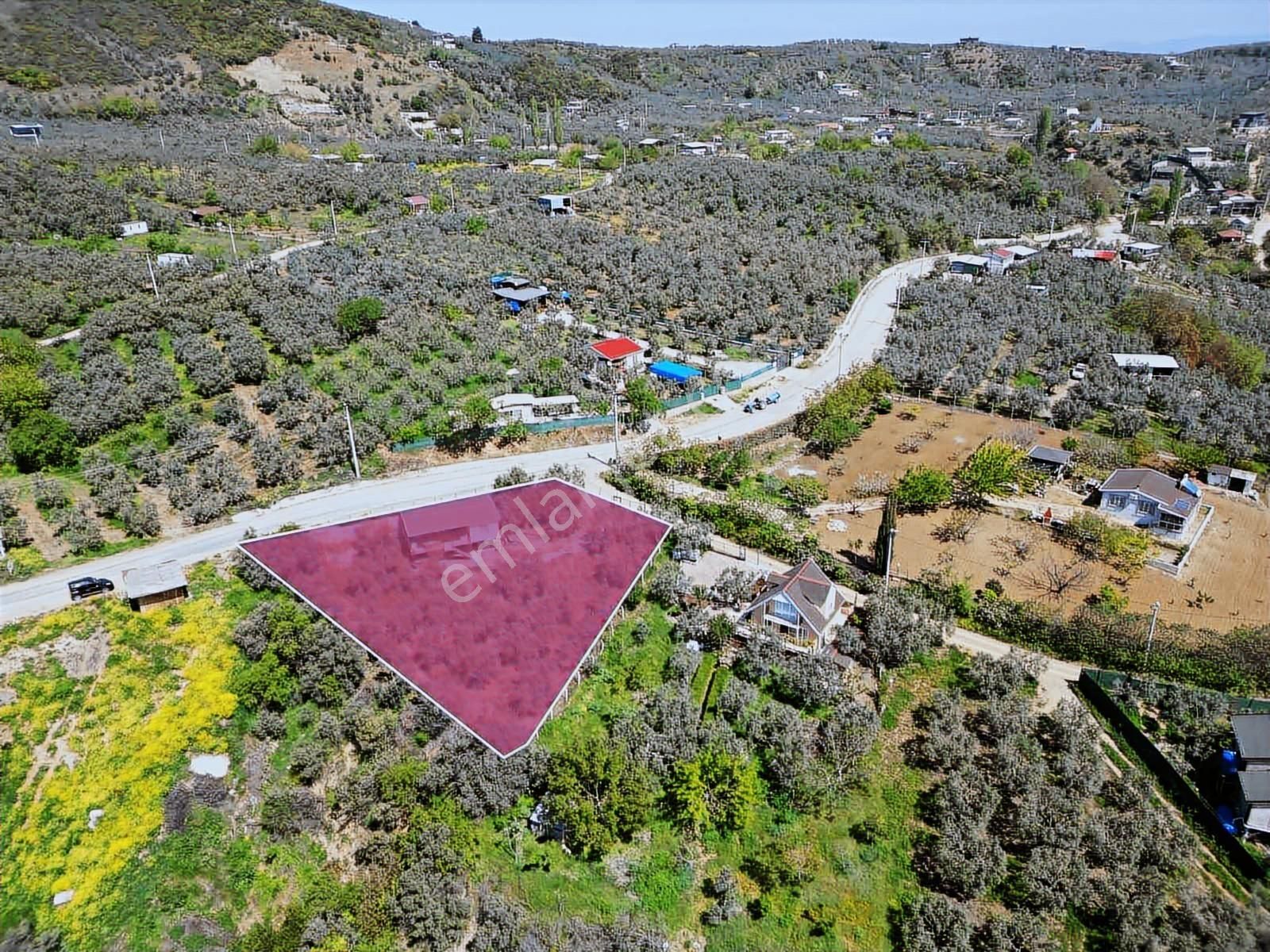 Tırpan Gayrimenkulden Asfalta Cephe 1250m2 Kaçırılmıyacak Fırsat