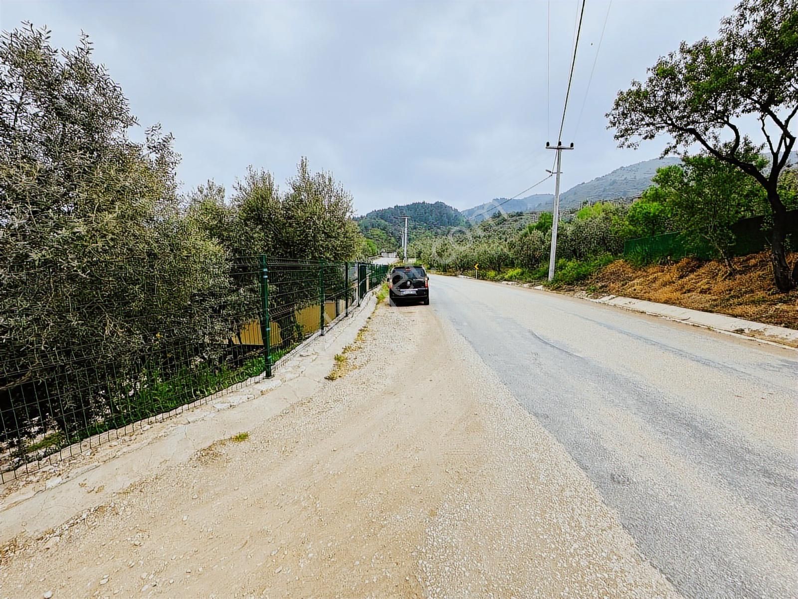 Tırpan Gayrimenkulden Asfalta Cephe 1250m2 Kaçırılmıyacak Fırsat - Görsel 21