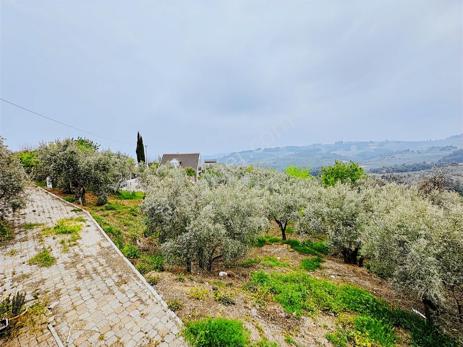 Tırpan Gayrimenkulden Asfalta Cephe 1250m2 Kaçırılmıyacak Fırsat - Görsel 12