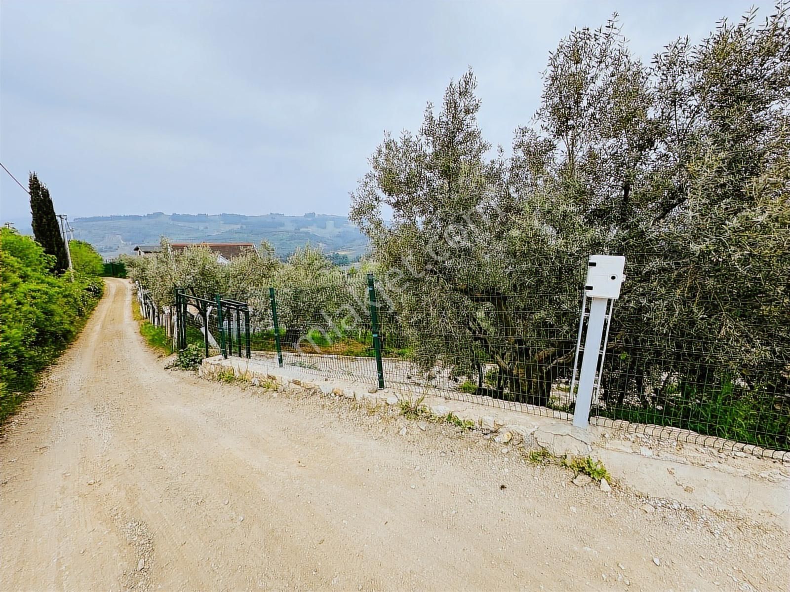 Tırpan Gayrimenkulden Asfalta Cephe 1250m2 Kaçırılmıyacak Fırsat - Görsel 28