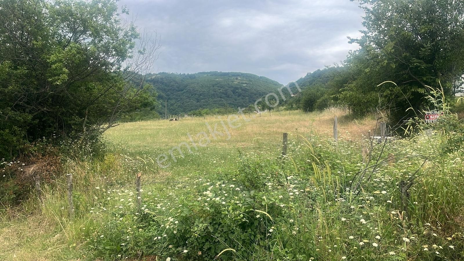 Kurugökçe Resmi Yola Cepheli 1860 M² Tarla Satılık Fırsat! - Görsel 10