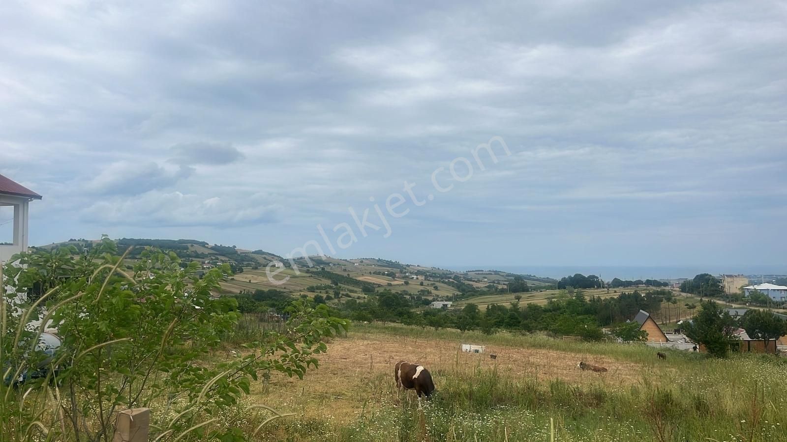 Kurugökçe Resmi Yola Cepheli 1860 M² Tarla Satılık Fırsat! - Görsel 8