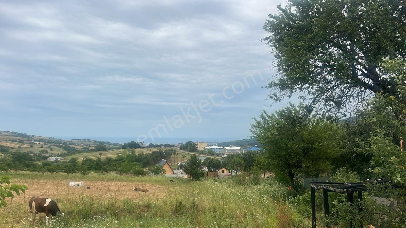 Kurugökçe Resmi Yola Cepheli 1860 M² Tarla Satılık Fırsat! - Görsel 6