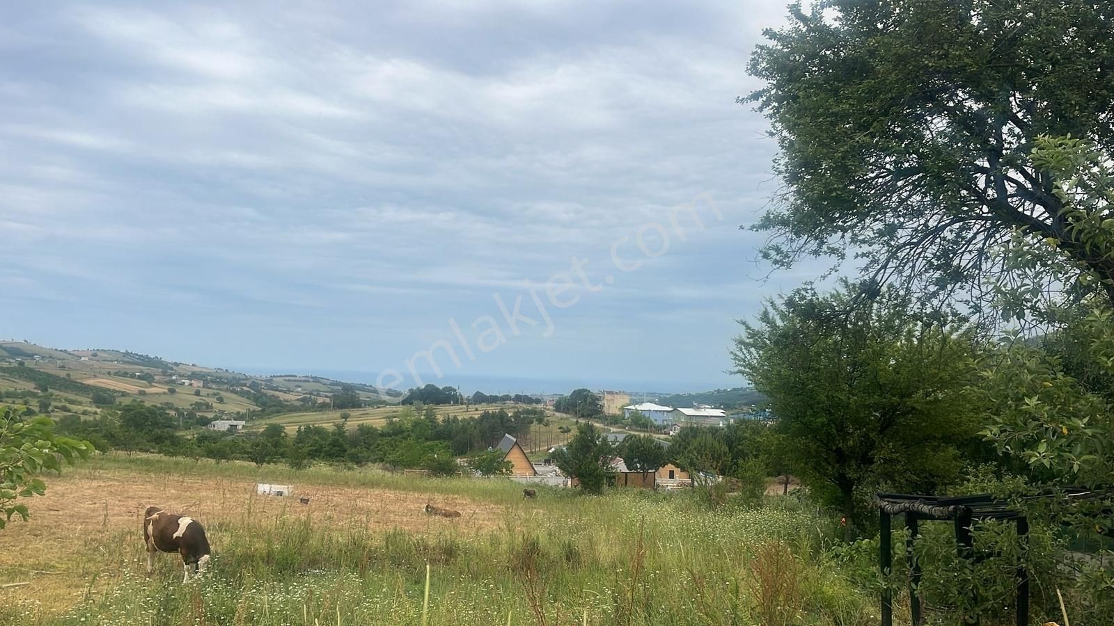 Kurugökçe Resmi Yola Cepheli 1860 M² Tarla Satılık Fırsat! - Görsel 11